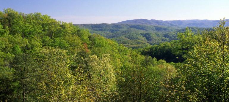 Appalachian Mountains 