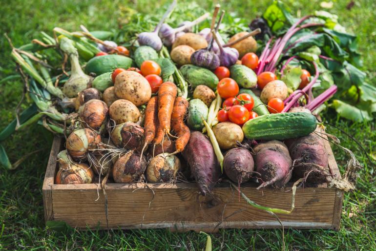 Basket of produce 