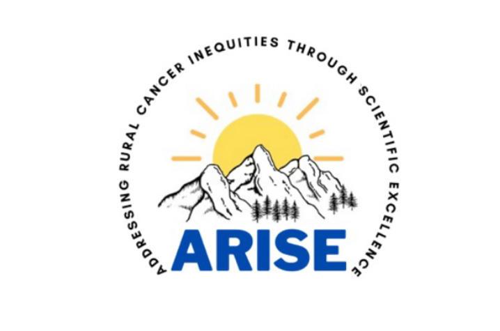 ARISE logo