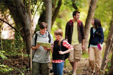 family walking in the woods